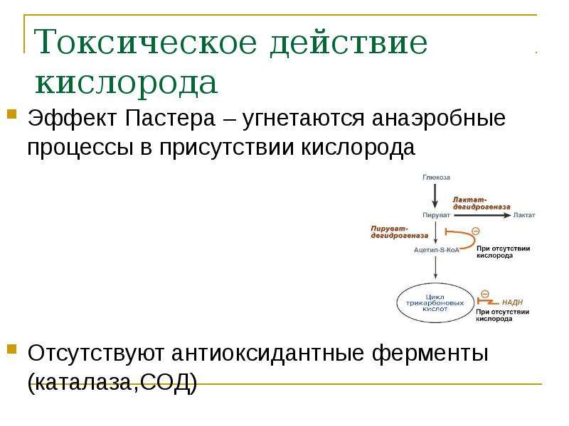 Воздействие кислорода