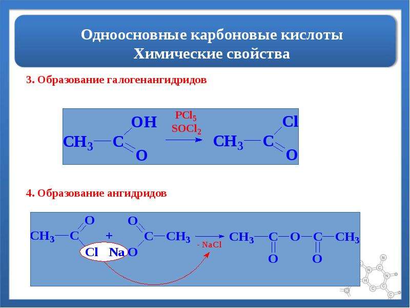 При взаимодействии одноосновной карбоновой кислоты. Одноосновные карбоновые кислоты. Алифатические карбоновые кислоты. Одноосновнве карбоноаые кисооты. Химические свойства одноосновных карбоновых кислот.