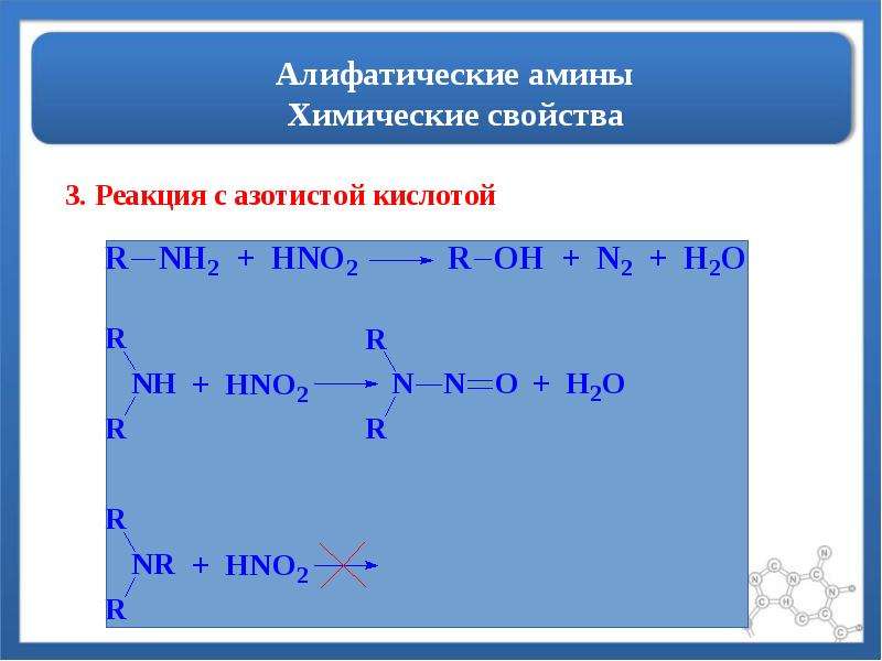 Амины химические свойства