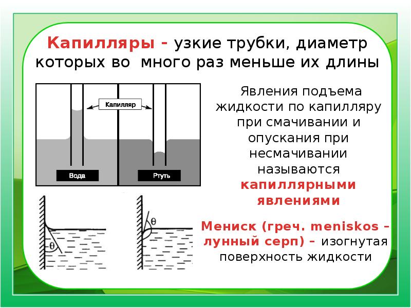 Смачивание капиллярные явления