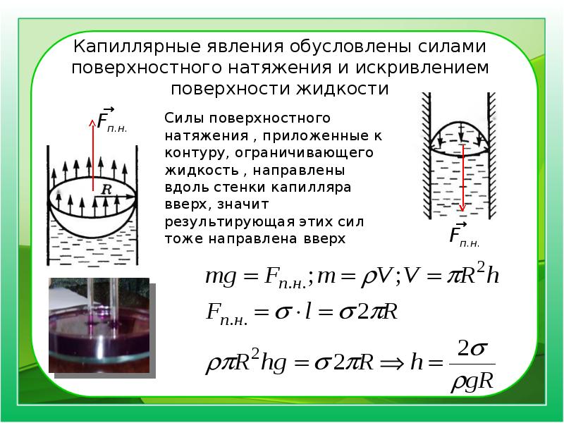 Явление поверхностного натяжения