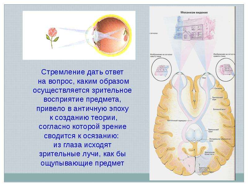 Каким образом ответ