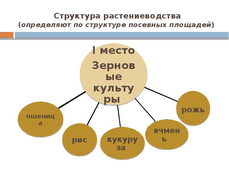 Структура площадей. Структура растениеводства. Структура растениеводства схема. Структура растениеводства США схема. Презентация оптимизация структуры посевных площадей.