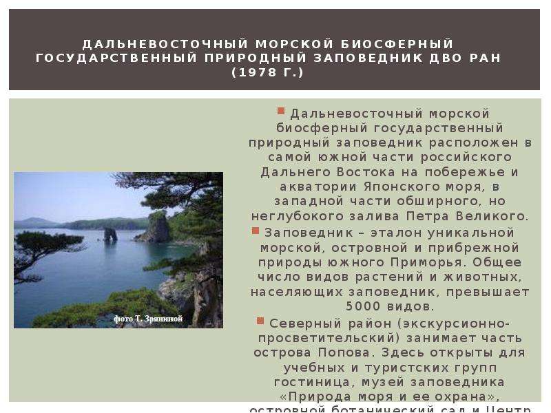 Презентация заповедник дальневосточный морской заповедник