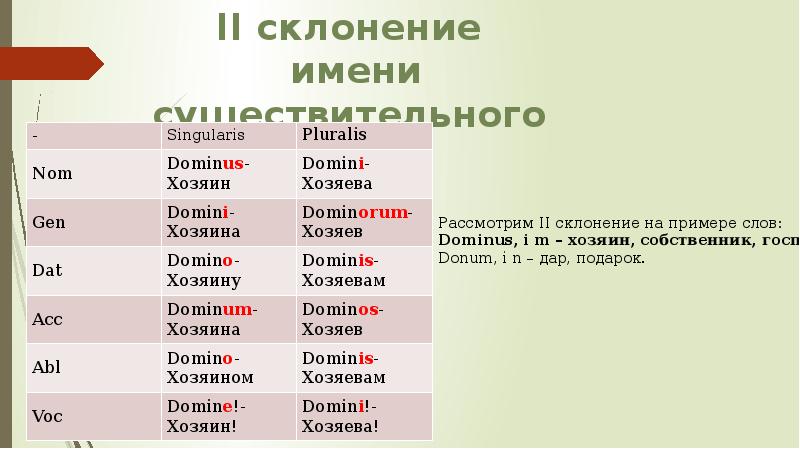 Категории имени существительного в латинском языке