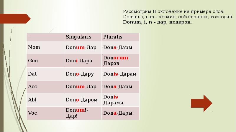 Категории имени существительного в латинском языке