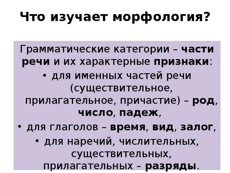 Что изучает морфология в русском. Что изучает морфология. Грамматическая категория это в морфологии. Грамматические категории именных частей речи.