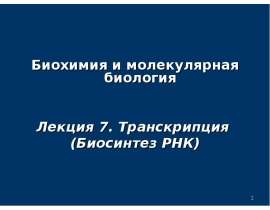 Транскрипция. Биосинтез РНК. (Лекция 7)