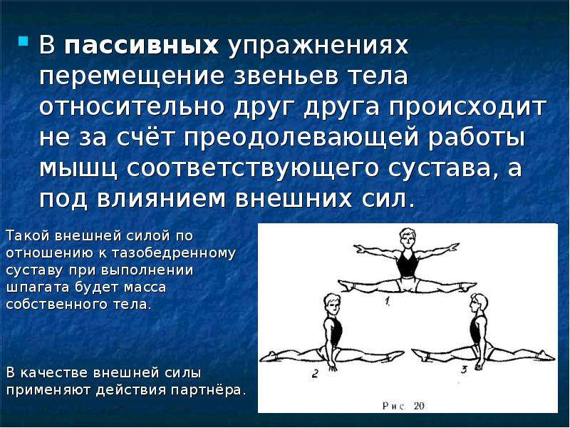 Упражнения в перемещении. Пассивная гимнастика. Пассивные упражнения на гибкость. Гибкость и подвижность суставов. Упражнения для развития подвижности в суставах.