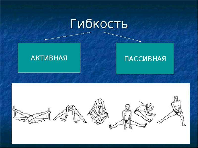 Активная гибкость. Активная и пассивная гибкость. Активная гибкость и пассивная гибкость. Активная и пассивная растяжка. Активная подвижность.