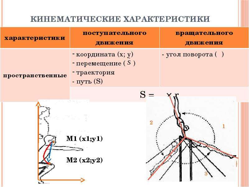 Сколько выделяют биомеханических характеристик движений