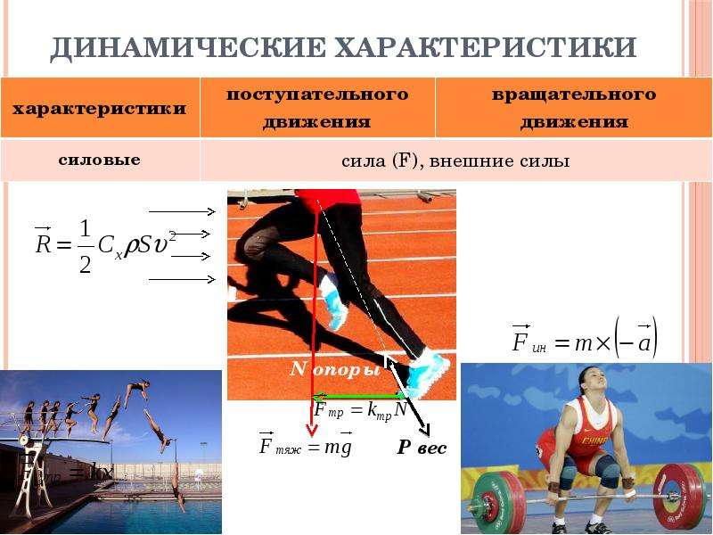 Биомеханические модели проект 7 класс биология