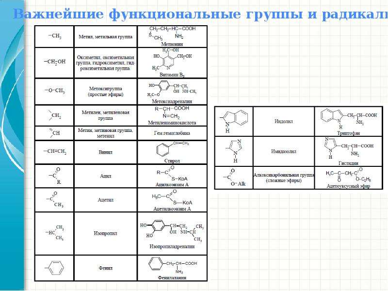 Главнейшие функциональные группы. Важнейшие радикалы в органической химии. Таблица органических соединений радикалов. Функциональные радикалы органических веществ. Таблица углеводородные радикалы и функциональные группы.