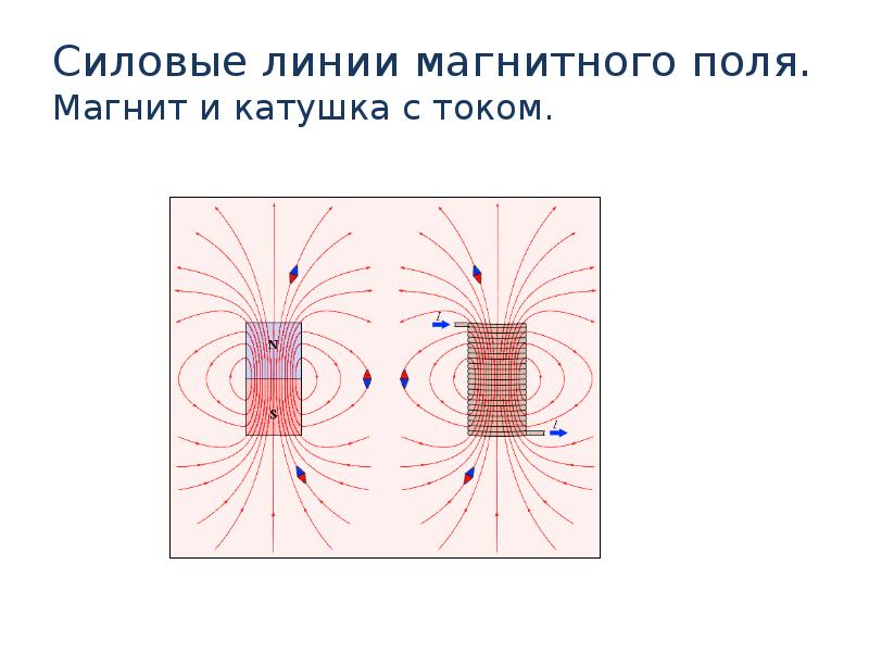 Нарисовать магнитные линии