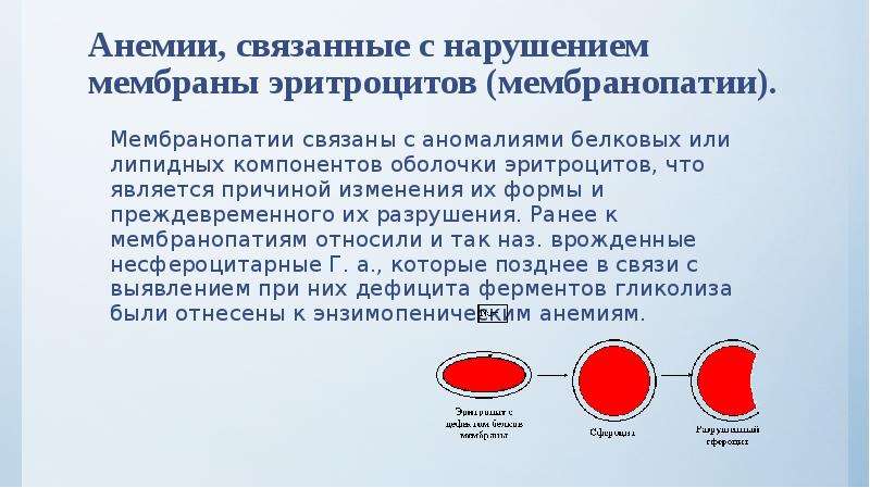 Анемия гемолитической болезни новорожденных