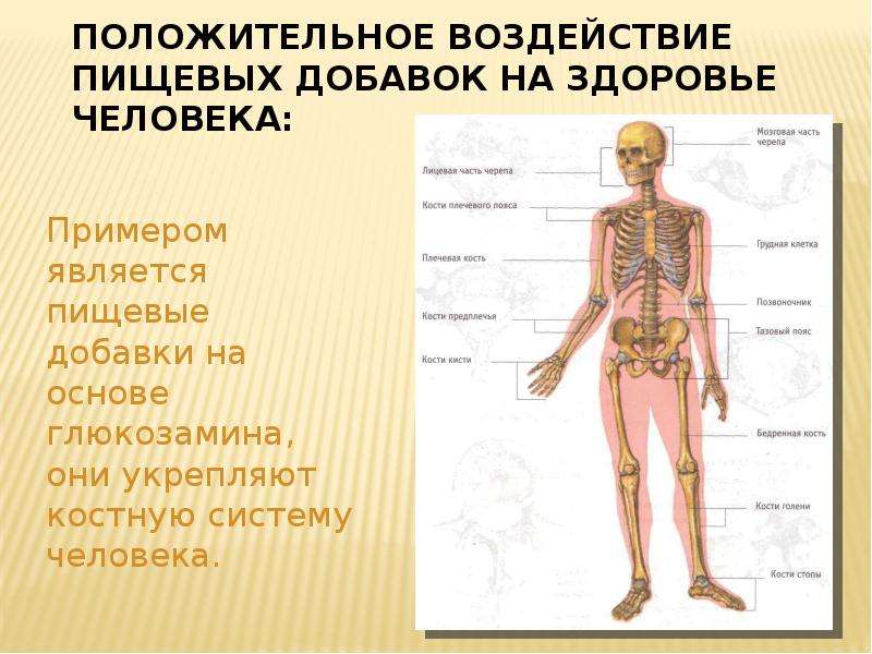 Пищевые влияние на организм