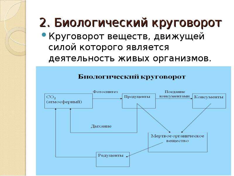 Биологический цикл. Движущие силы круговорота веществ. Биологический круговорот веществ. Биологический круговорот круговорот. Движущая сила биологического круговорота.