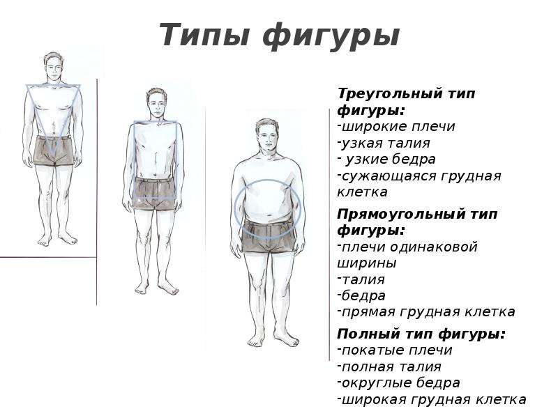 Виды мужской фигуры. Типы фигур. Типы телосложения. Типы мужских фигур. Типы мужского телосложения.