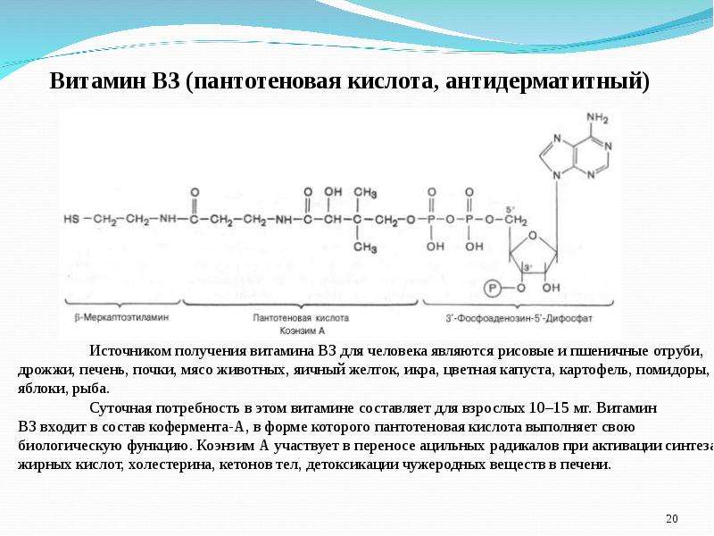 Пантотеновая кислота в детских кашах