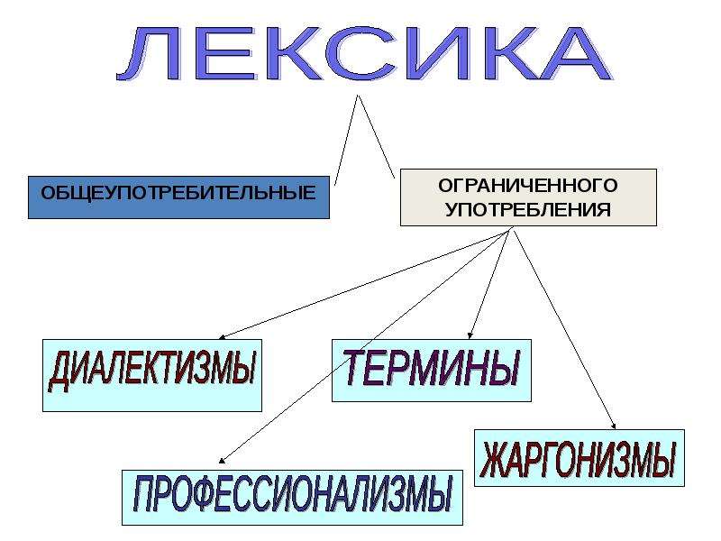 Лексика 7 класс презентация