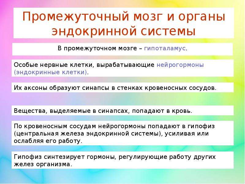 Презентация на тему роль эндокринной регуляции 8 класс