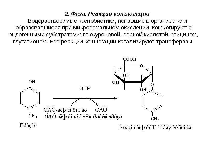 Схема обезвреживания билирубина