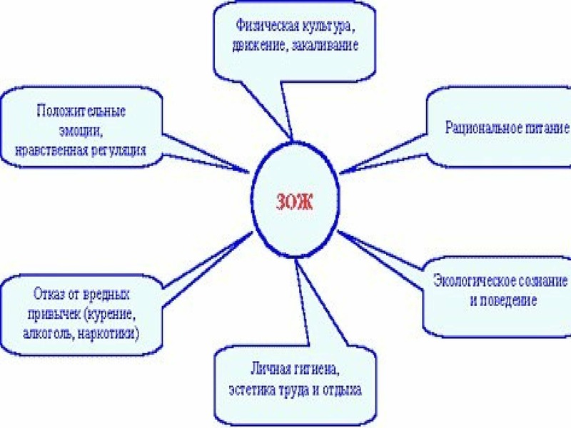 Карта здорового образа жизни заполненная пример