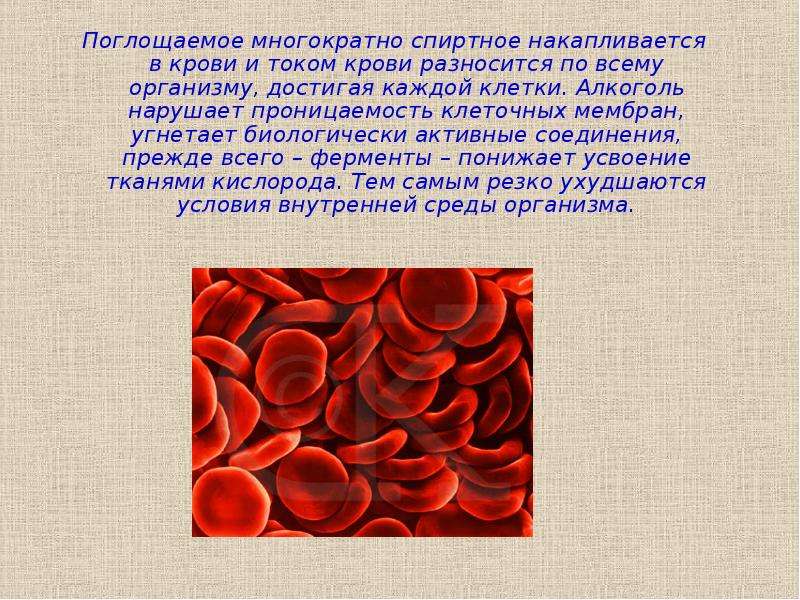 Исследовательский проект на тему влияние алкоголя на живой организм