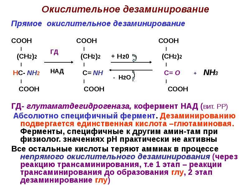 Схема реакции окислительного дезаминирования аспарагиновой кислоты