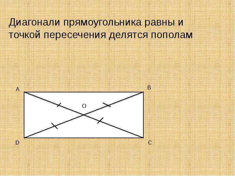 Точки в прямоугольнике. Диагонали прямоугольника равны. Диагонали прямоугольника равны и точкой пересечения делятся пополам. Диагонали прямоугольника делятся пополам. Диагонали прямоугольника точкой пересечения делятся пополам.