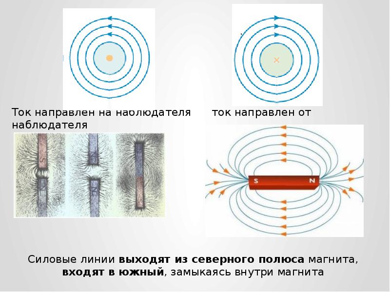 Покажи ток. Полюса магнитного поля проводника. Магнитные полюса в проводнике. Силовые линии магнитного поля проводника с током. Проводник в магнитном поле.