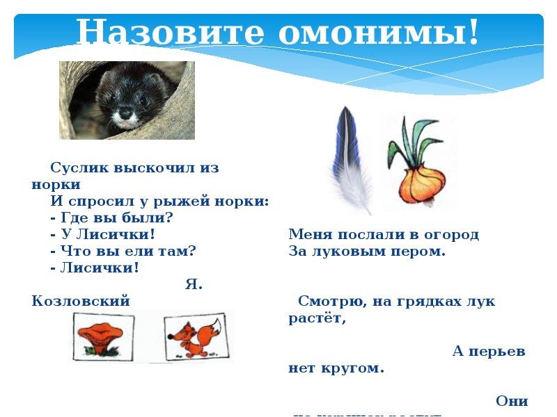 Омонимы черный