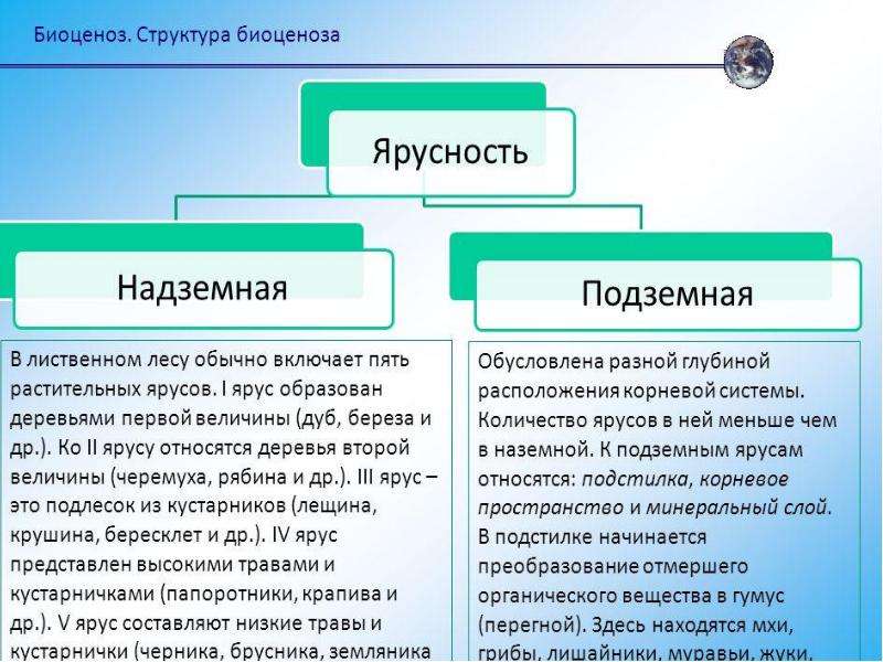 Описание биоценоза план