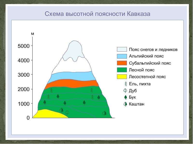 Используя схемы высотной поясности установите набор высотных поясов в горах урала и южной сибири