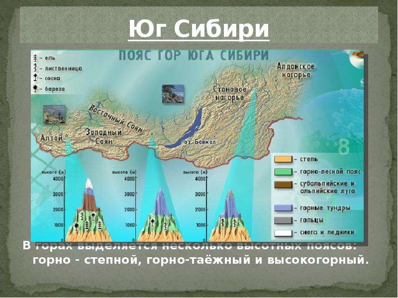 Высотная поясность кавказа презентация