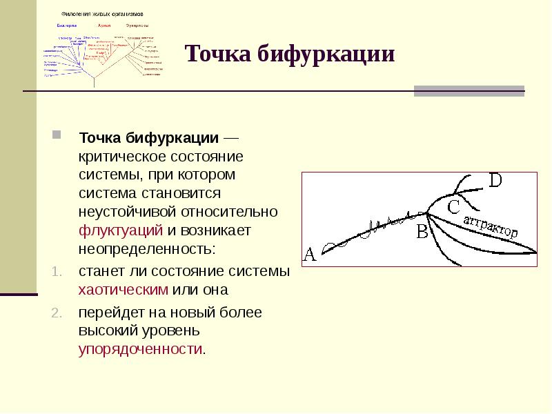 Точка бифуркации это