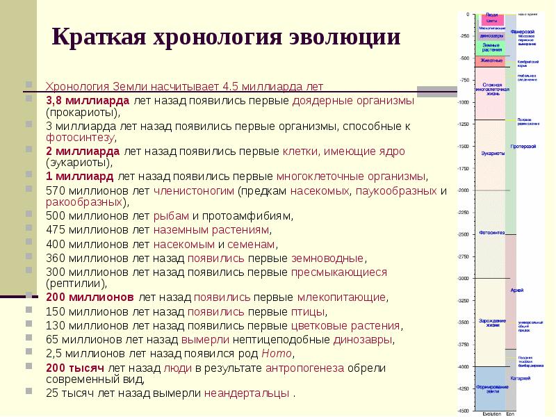 Хронология краткая история