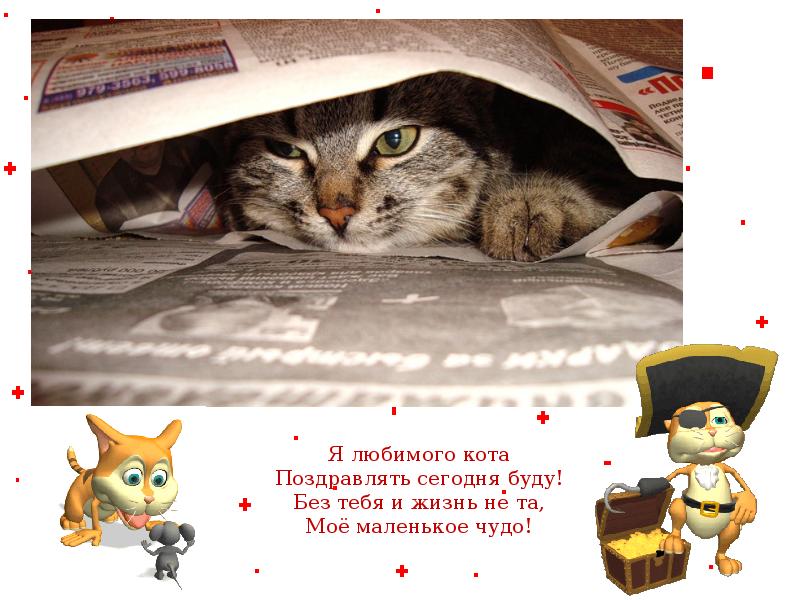 День котов стихи. Всемирный день кошек. Всемирный день котиков. Поздравление с днем котов.