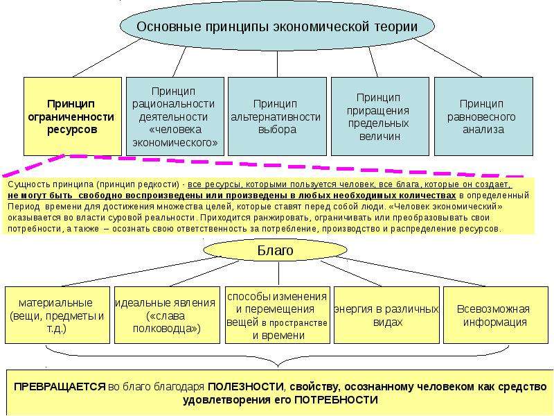 Экономические принципы. Принципы экономической теории. Основные принципы экономической теории. Принципы экономической теории кратко. Основные экономические принципы.