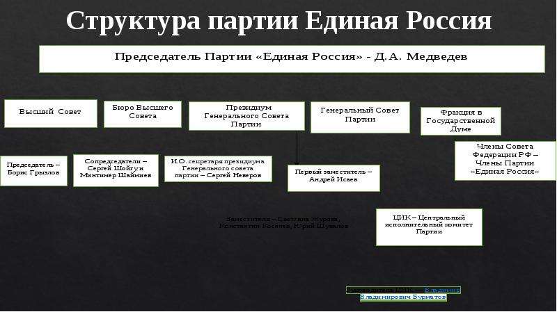 Структура партии лдпр схема