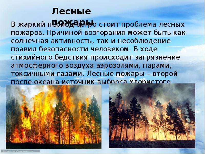 Загрязнение воздуха пожары. Лесные пожары загрязнение атмосферы. Загрязнение атмосферы пожарами. Проблема лесных пожаров.