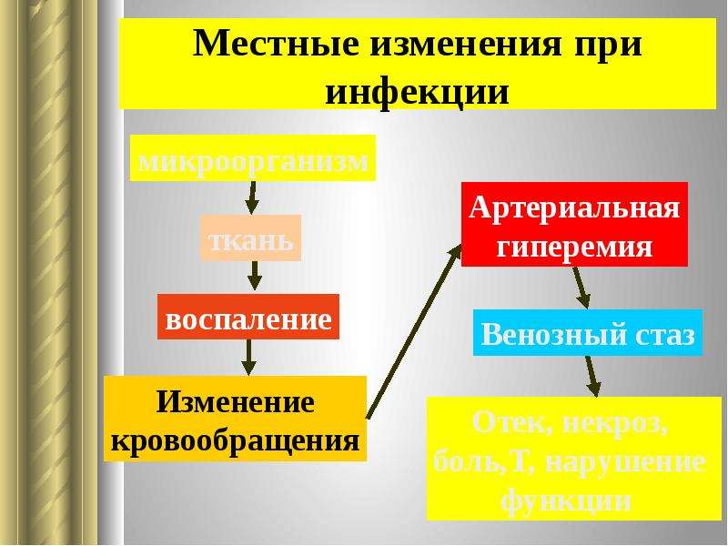 Гнойная хирургическая инфекция презентация