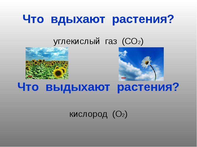 Проект на тему есть ли в воздухе вода