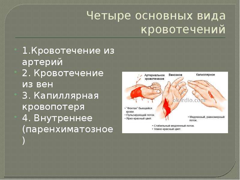 Кровотечения и первая помощь презентация