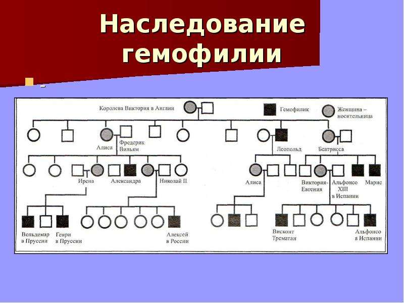 Наследование атрибутов. Родословная королевы Виктории наследование гемофилии. Схема наследования гемофилии. Гемофилия Тип наследования. Гемофилия генетика Тип наследования.