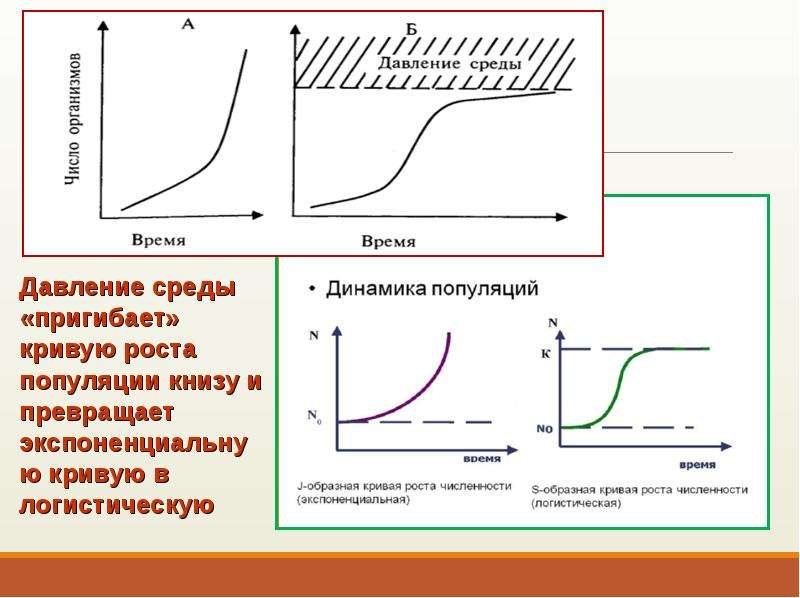 При увеличении численности популяции