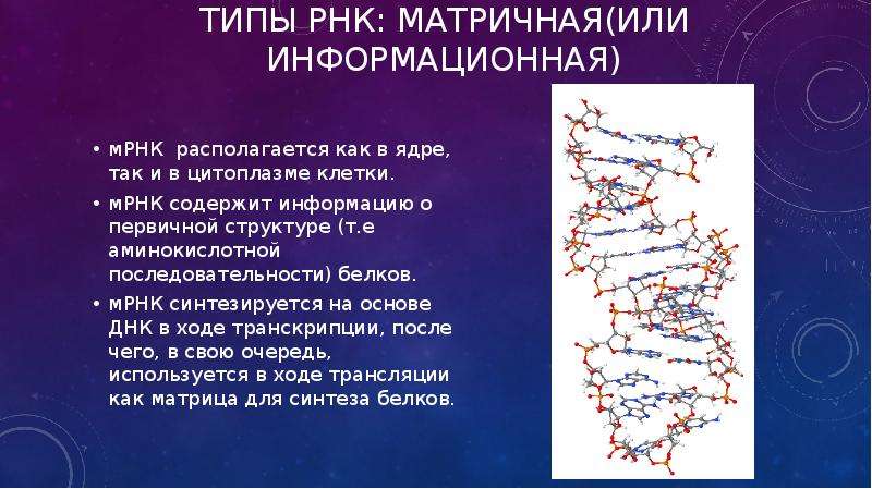 Какие структуры в ядрах содержат днк. Рибонуклеиновая кислота презентация. Информационная или матричная РНК. Типы рибонуклеиновых кислот. Разновидности РНК.