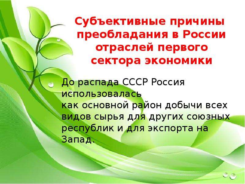 Состав первичного сектора экономики природные ресурсы презентация 8 класс