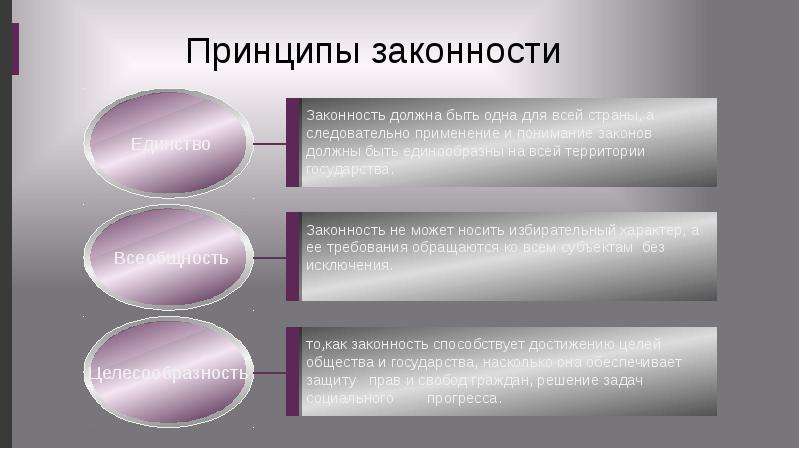 Современные принципы законности. Принцип законности. Понятие и принципы законности. Принципы правопорядка. Содержание принципа законности.