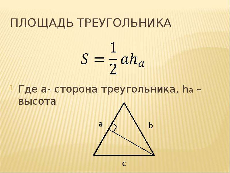 Сторона треугольника 10 букв